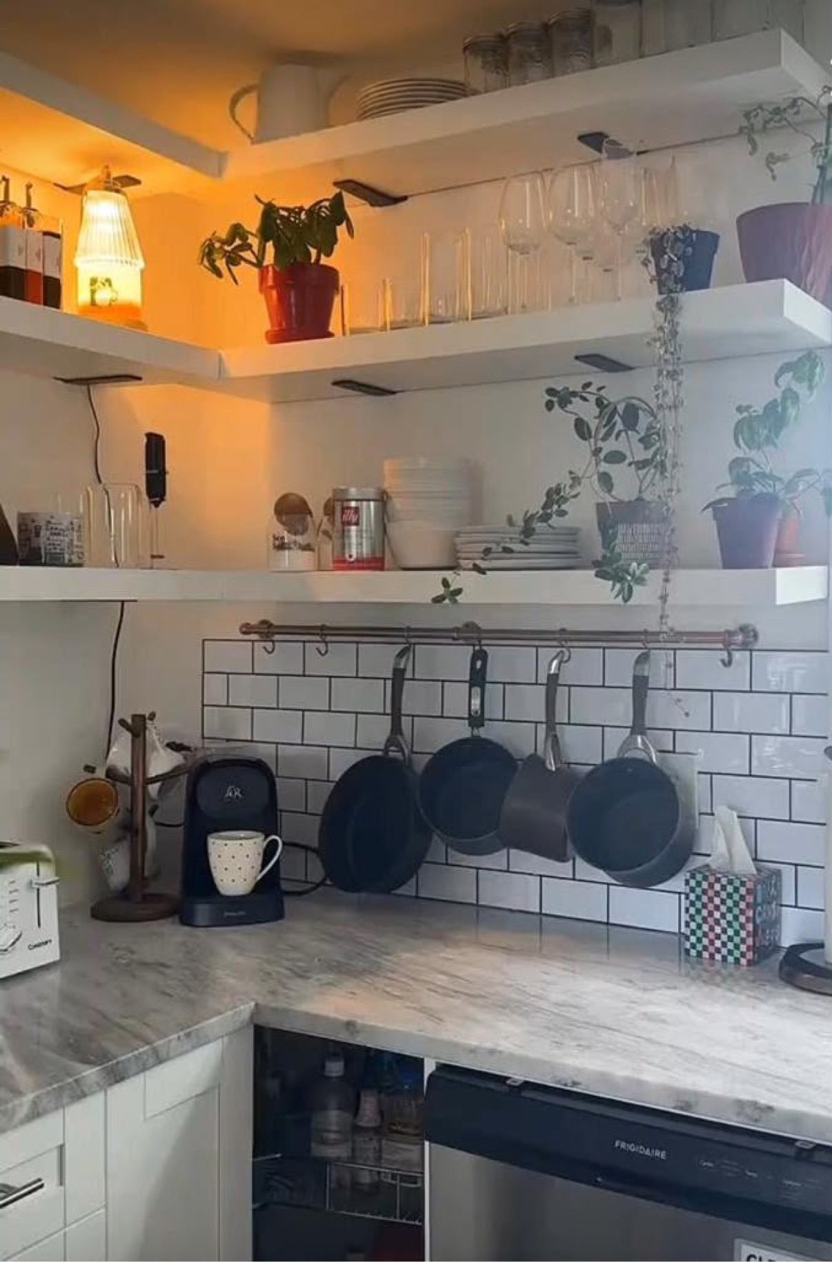 A small kitchen with plants on floating shelves: a pothos in a red pot and trailing plants sharing space with glasses and dishes