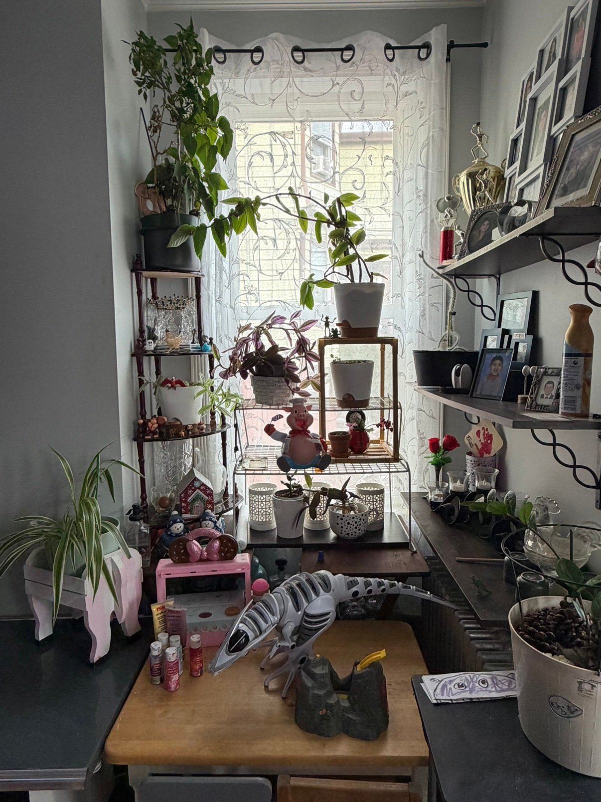 A small apartment window corner turned into an indoor jungle, with pothos, spider plant, and tradescantia growing on shelves