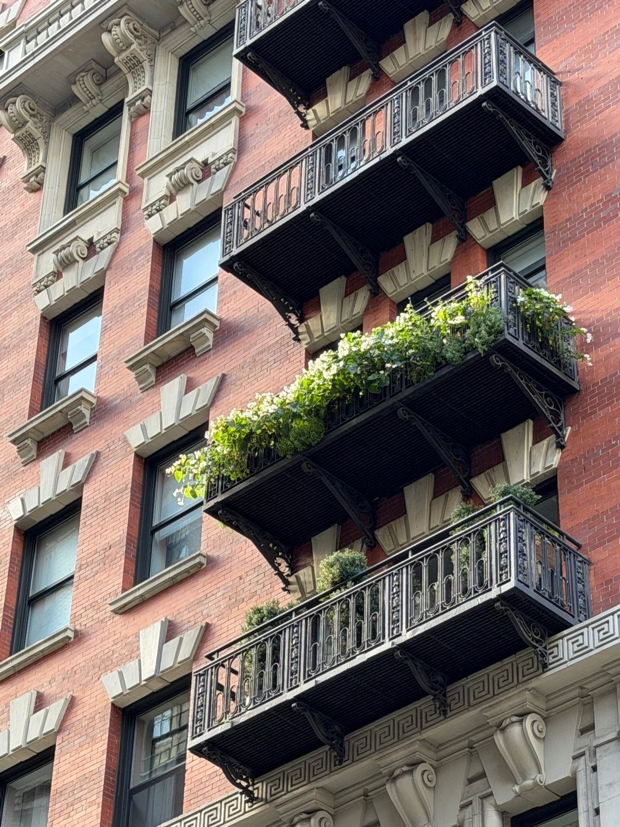 Close-up of a Manhattan balcony railing covered in green plants and white trailing flowers